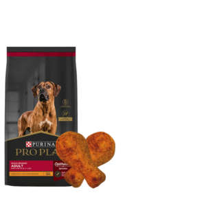 Ración Pro Plan Perro Adulto Raza Grande 15kg + Regalo